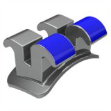 Bráquete Prescrição Roth