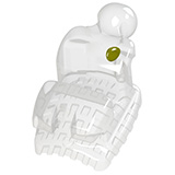 Bráquete Prescrição M.B.T.