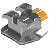 Bráquete Prescrição M.B.T.